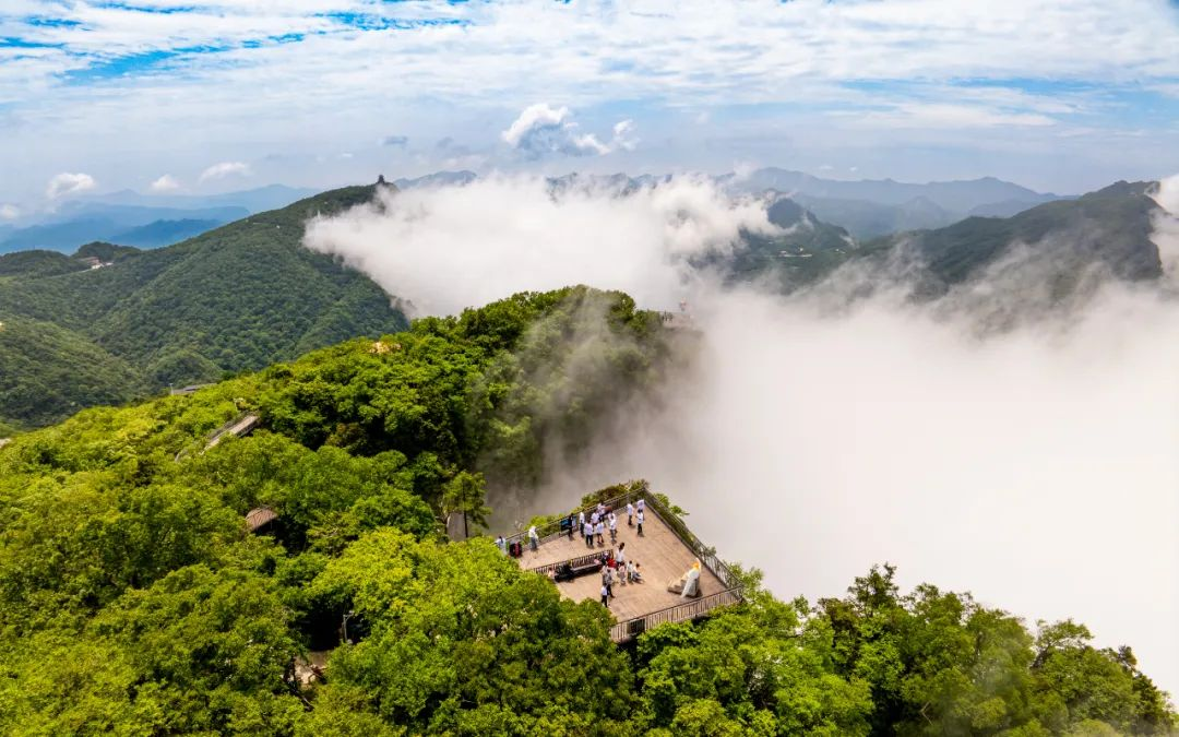 向云端～初夏的汉中，用一场「云海狂想」承包所有的浪漫！ - 知乎