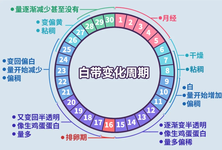 吃白带 知乎图片