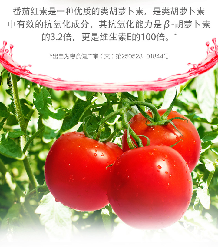 番茄红素的生理功能与应用 - 知乎