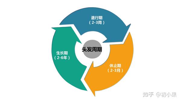 有的人因为生长期长一些,而且头发的生长速度快一些,所以头发可以长到