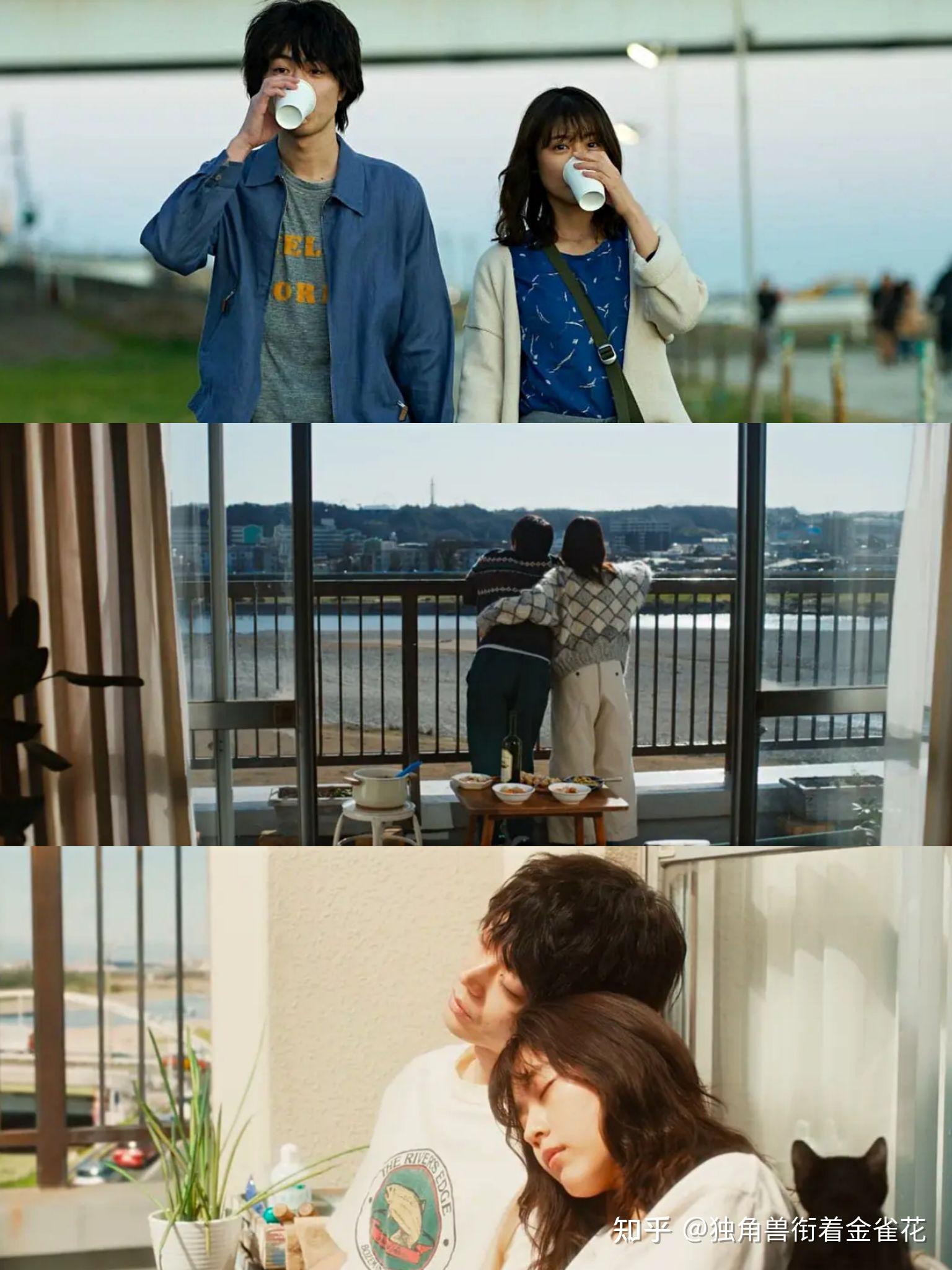 为什么看完电影花束般的恋爱后感觉他们会复合