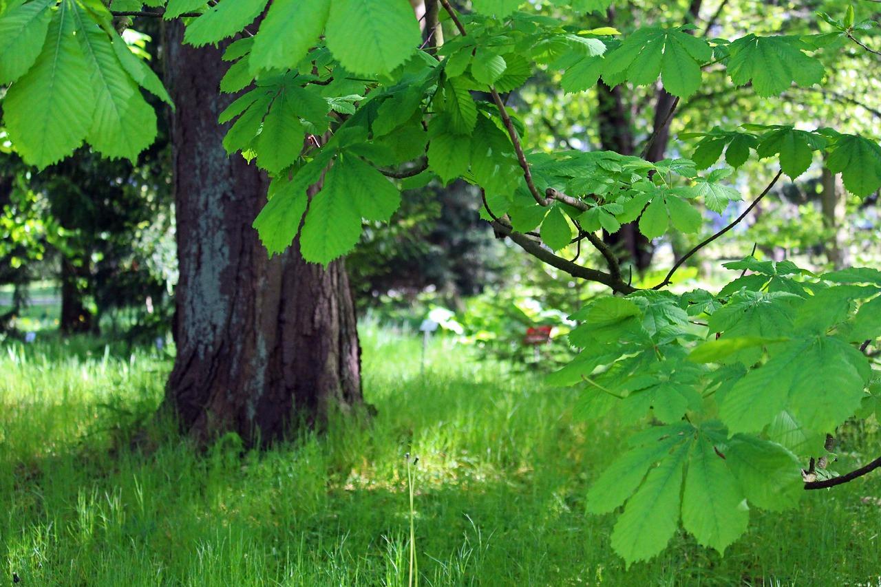 4. 成熟期判断法