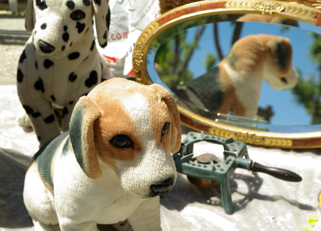 室内防潮小妙招