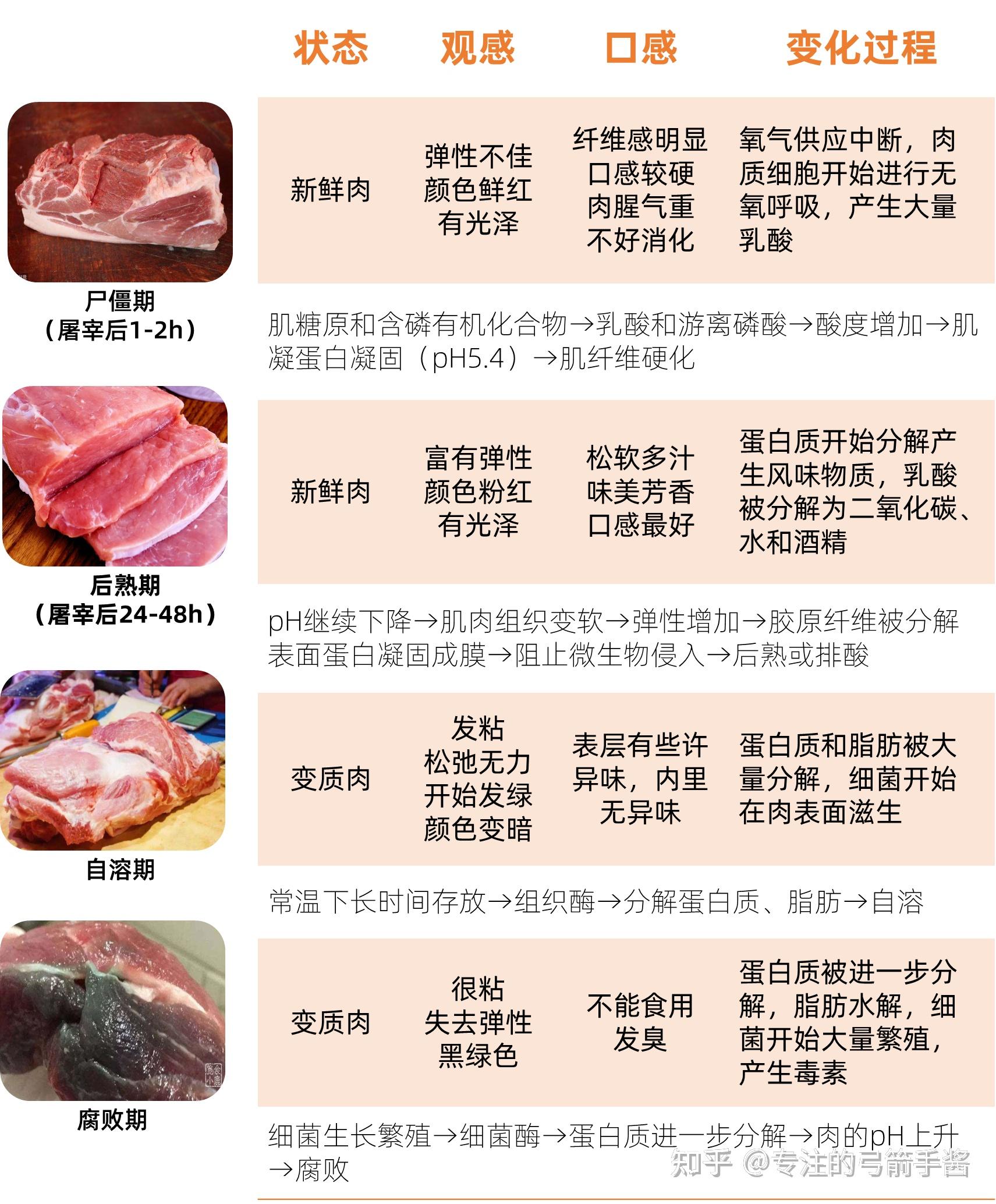 冷鲜肉是否将逐渐取代热鲜肉? - 知乎
