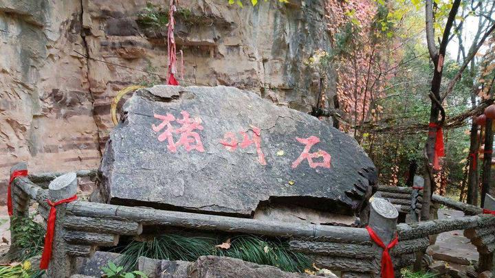 2022年会发生什么？“猪叫石”都在预言这一结果 - 知乎