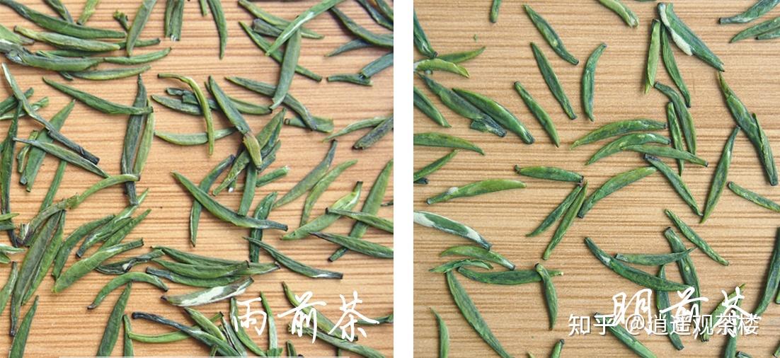 对于明前茶和雨前茶一口就能喝出来不就隔了一两天吗真的有那么大区别