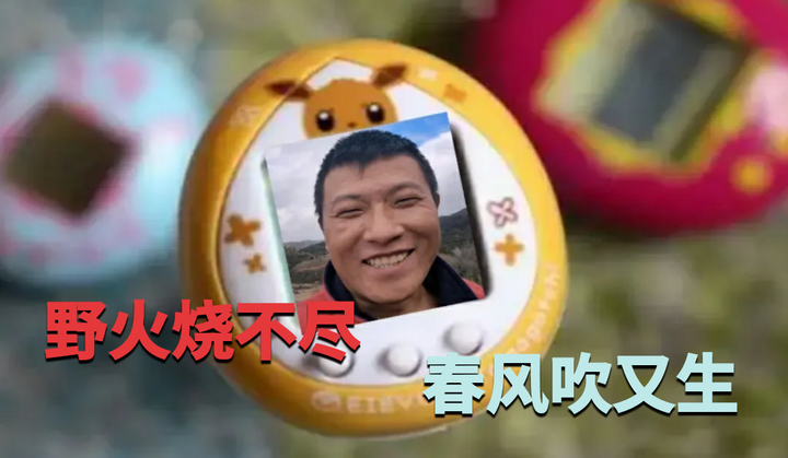 关于那些润人电子宠物——老的一茬渐凋零,新的一茬正长成! - 知乎