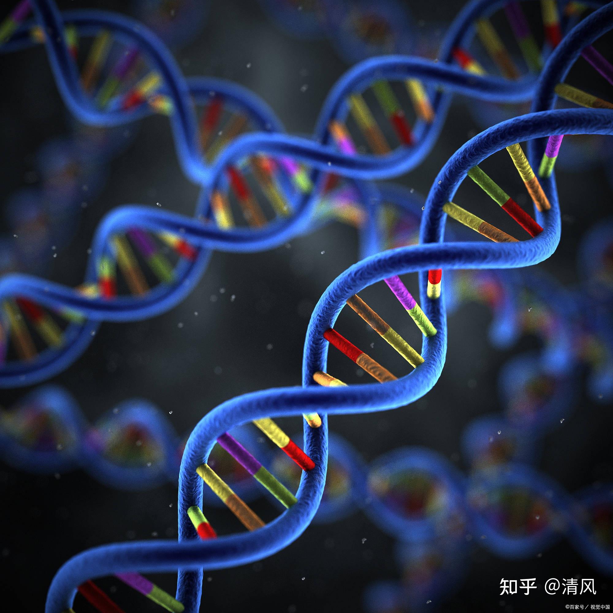 这些发明创造都是做梦做出来的,梦到底是怎么回事? - 知乎