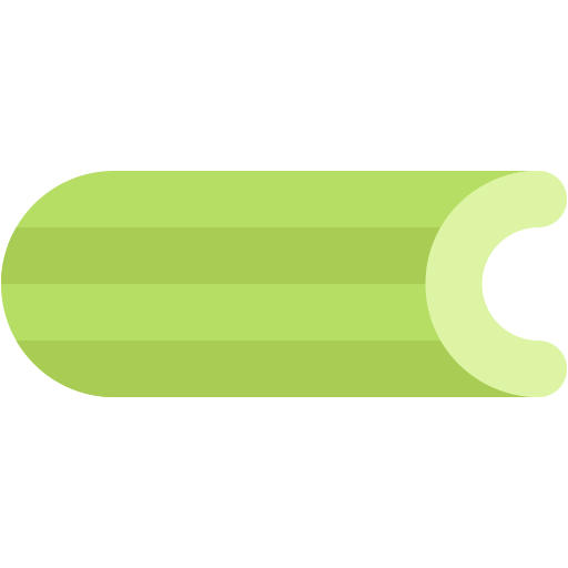 Python celery 