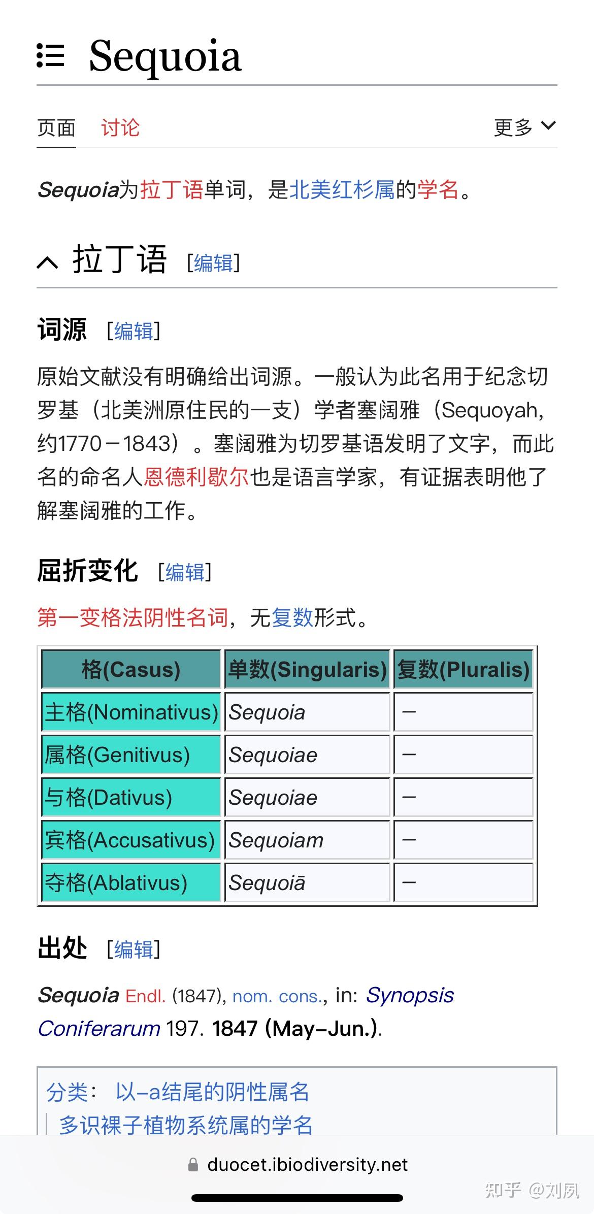 水杉的学名字面意思是什么