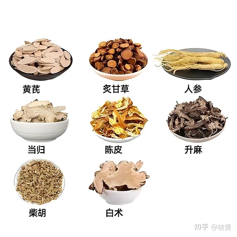 中医养生八大名方,建议收藏 - 知乎