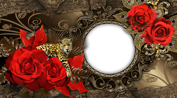 4. 预算决定选尺寸