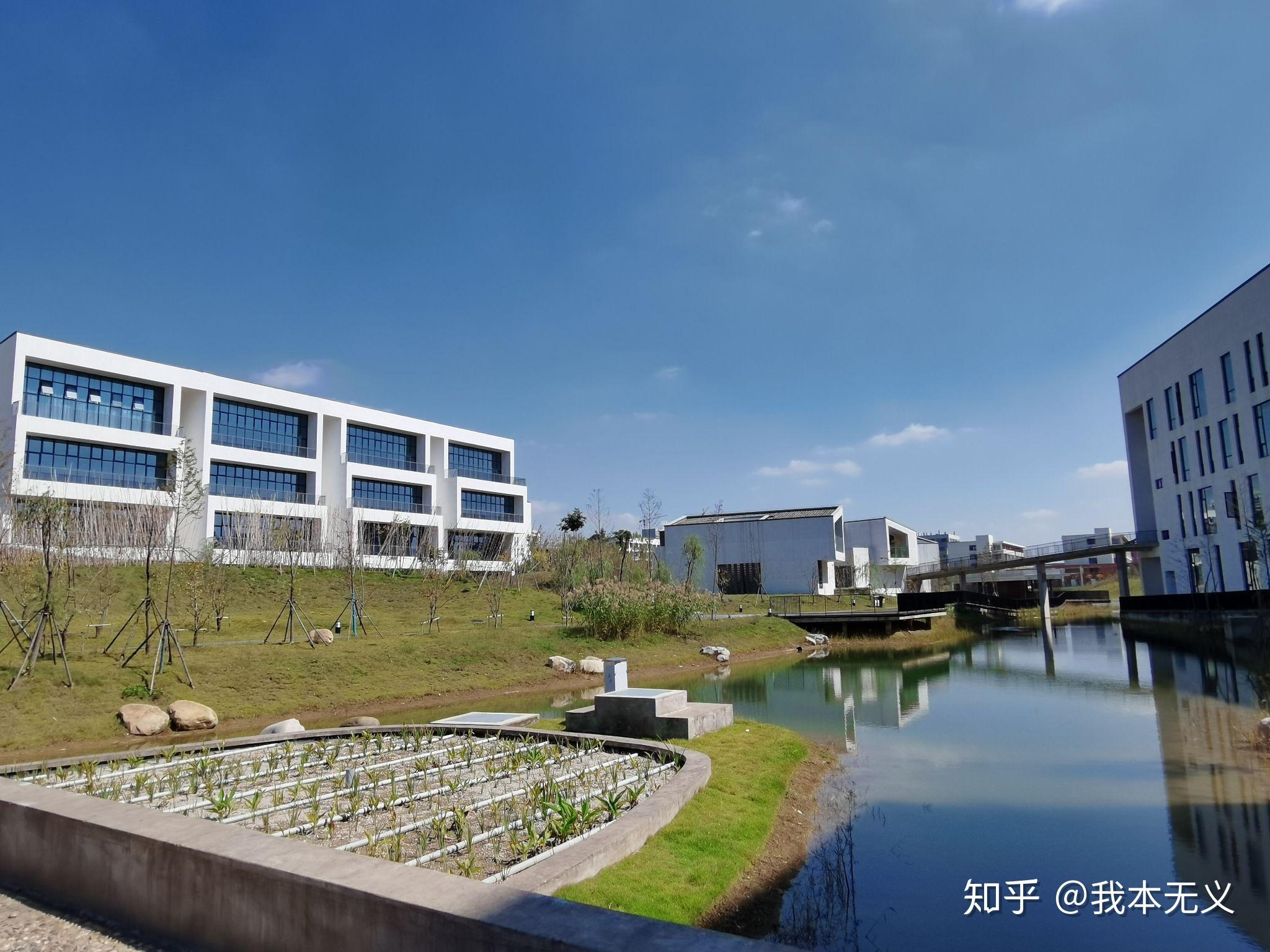 在安徽艺术学院就读是什么体验? - 知乎