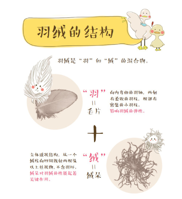 不同场景下的羽绒服如何选择之五--鸭绒和鹅绒羽绒服哪个更暖和 - 知乎