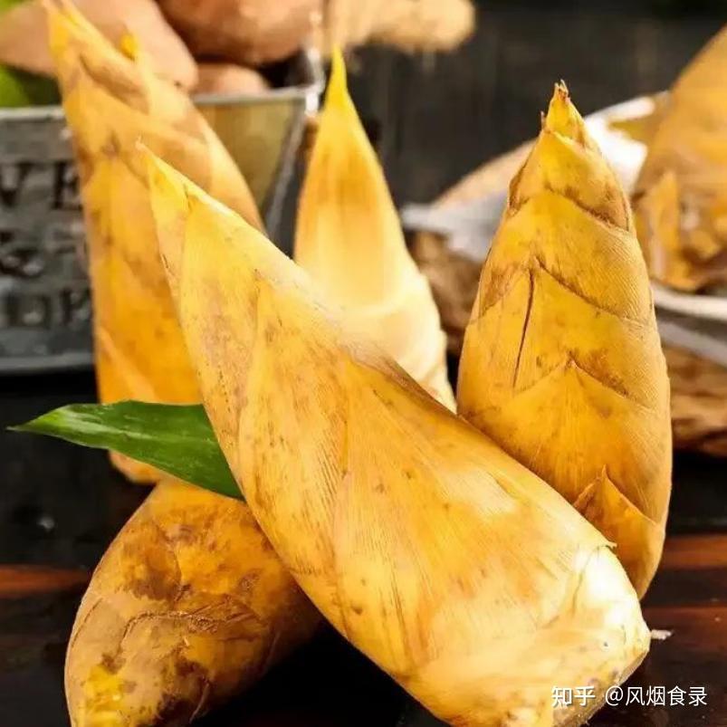 中国,哪的“冬笋”最好吃?经评选,这10个地方上榜,有你家乡吗 - 知乎
