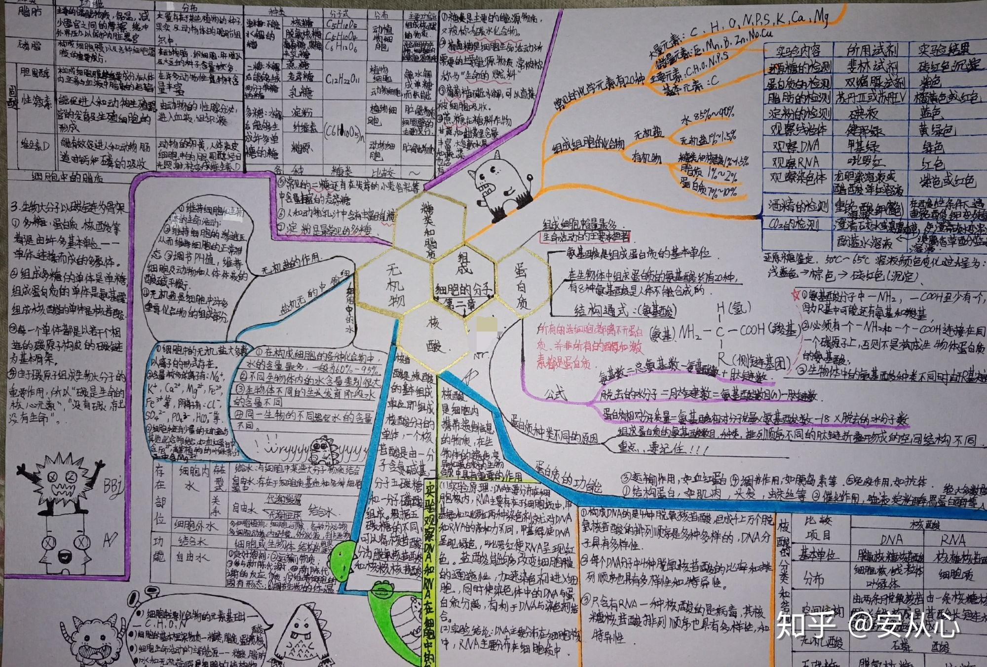 你见过最好看的生物必修一的思维导图长什么样