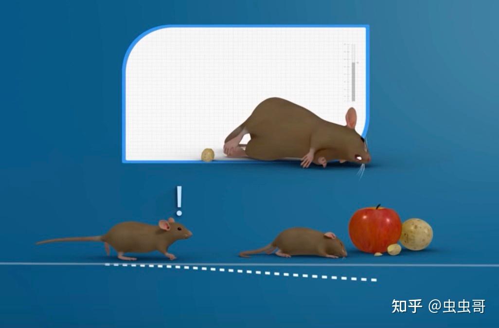 江西通报鼠头鸭脖事件调查情况判定异物为老鼠类啮齿动物头部有哪些