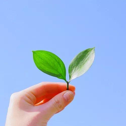 有哪些简约干净的头像? - 知乎