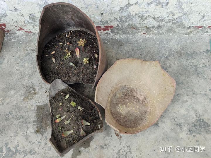 人，可以废物到什么程度？