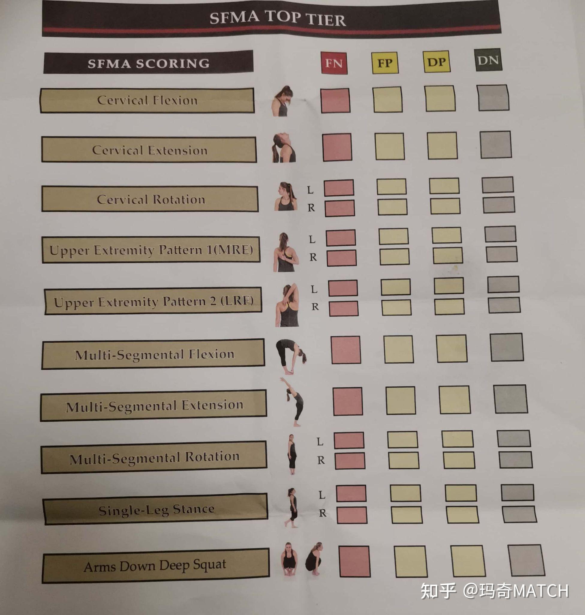 Smfa Portfolio Example 康复治疗读书笔记(FMS/SMFA) - 知乎