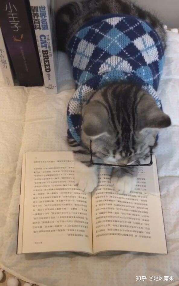 有哪些句子让你觉得一辈子也写不出来? - 知乎