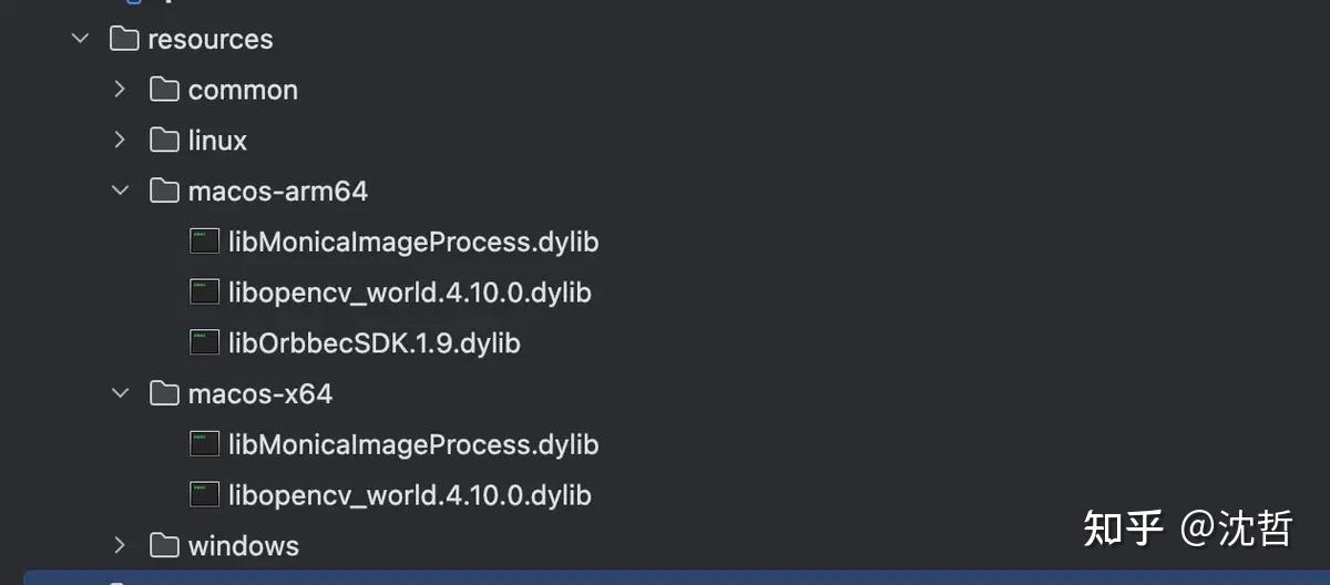 macOS 上为 Compose Desktop 构建跨架构图像处理 dylib：OpenCV + libraw + libheif 实践指南 ...