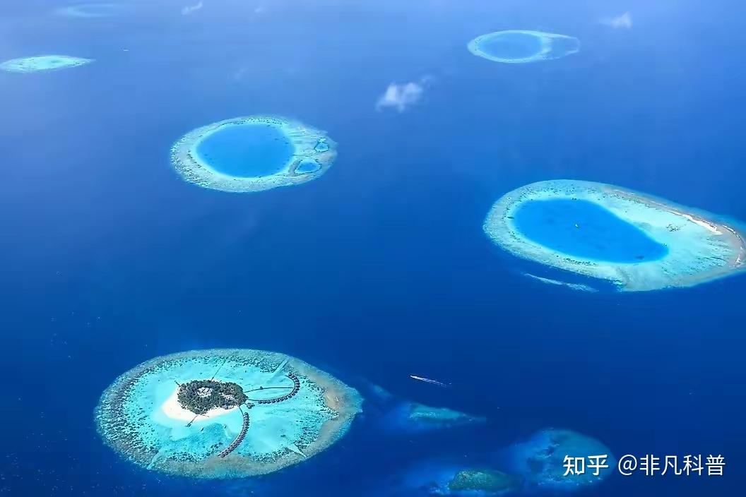 珊瑚礁是怎样形成的? - 知乎