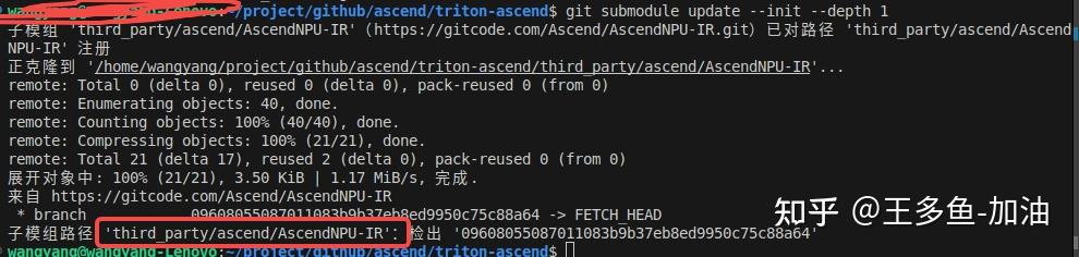ascend 学习记录1-AscendNPU-IR 和triton-ascend 的区别 - 知乎