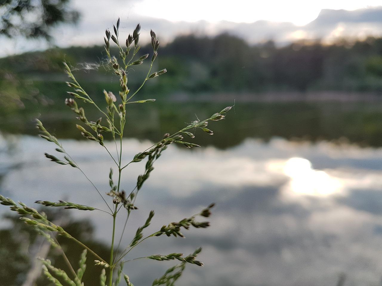 3. 湖边别墅推荐