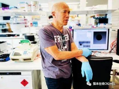 澳洲网红华裔名医张正贤外科生涯宣告结束!被裁定专业行为不合格! - 知乎