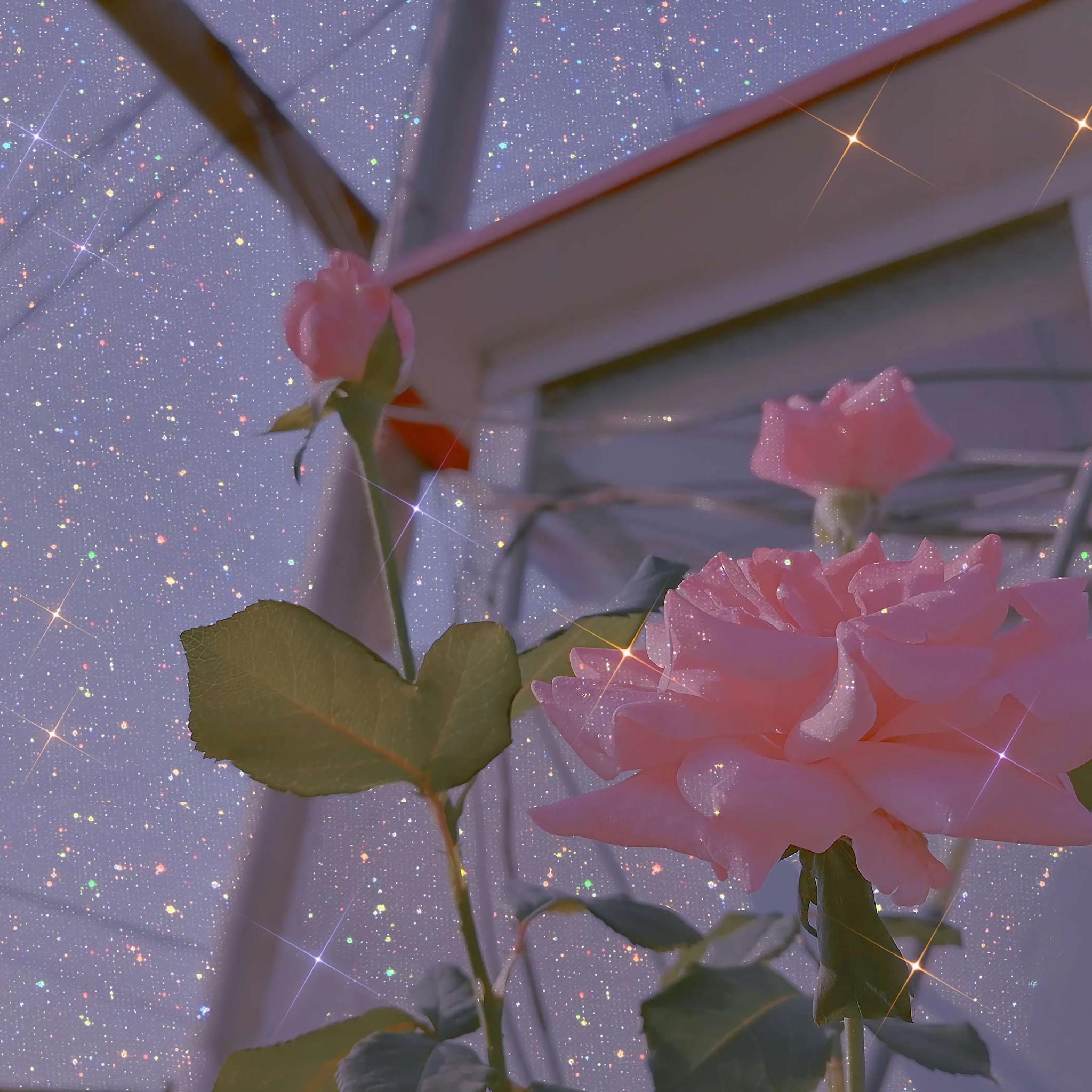 有什么壁纸能让 ipad 横屏和竖屏都合适? - 知乎