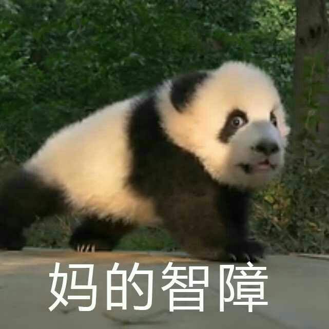 有一个脾气坏的对象是什么体验