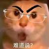 真藏星