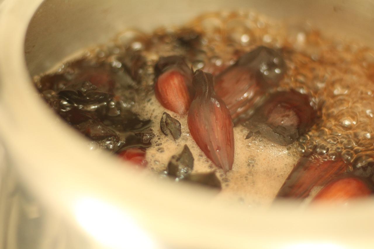 2. 插枝巴西铁要点