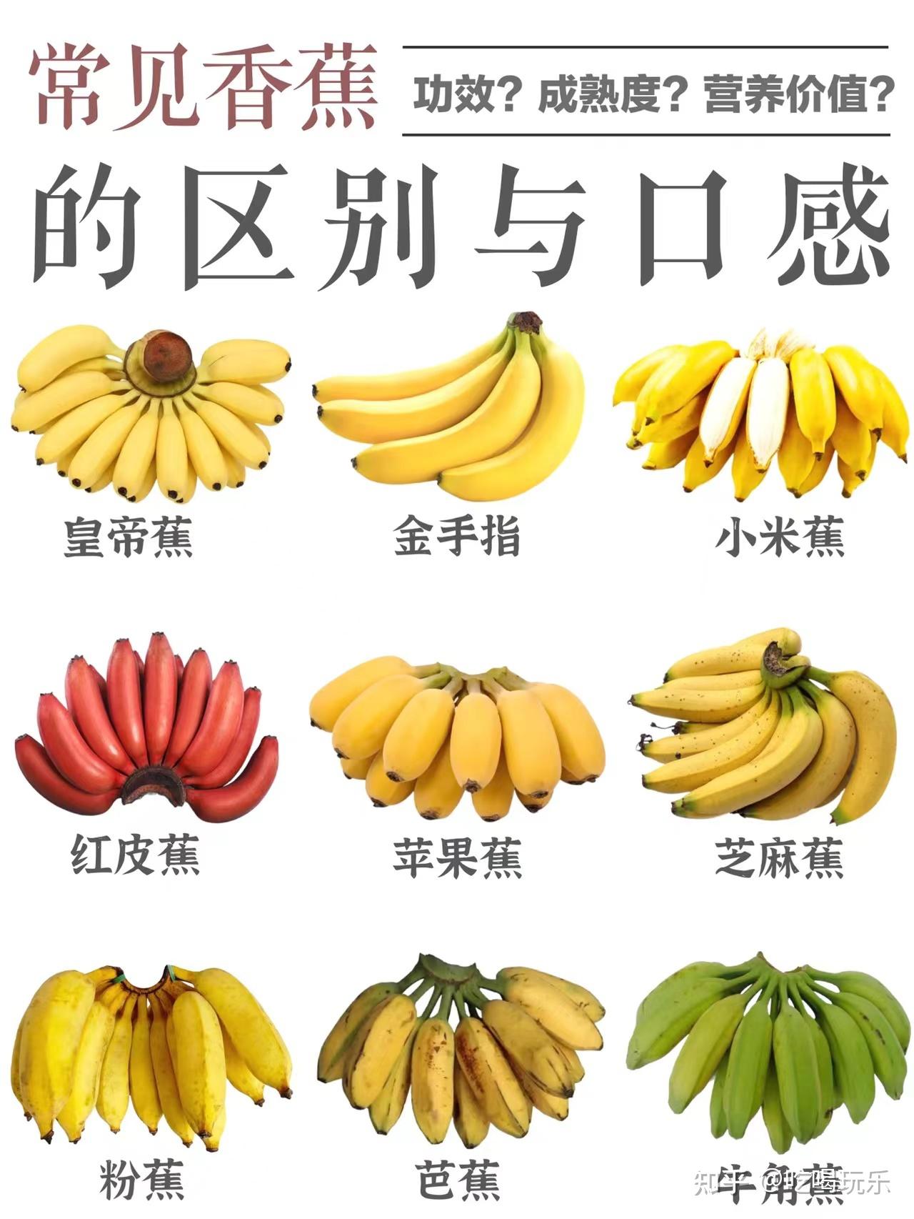 皇帝蕉 香蕉摄影图__水果_生物世界_摄影图库_昵图网nipic.com