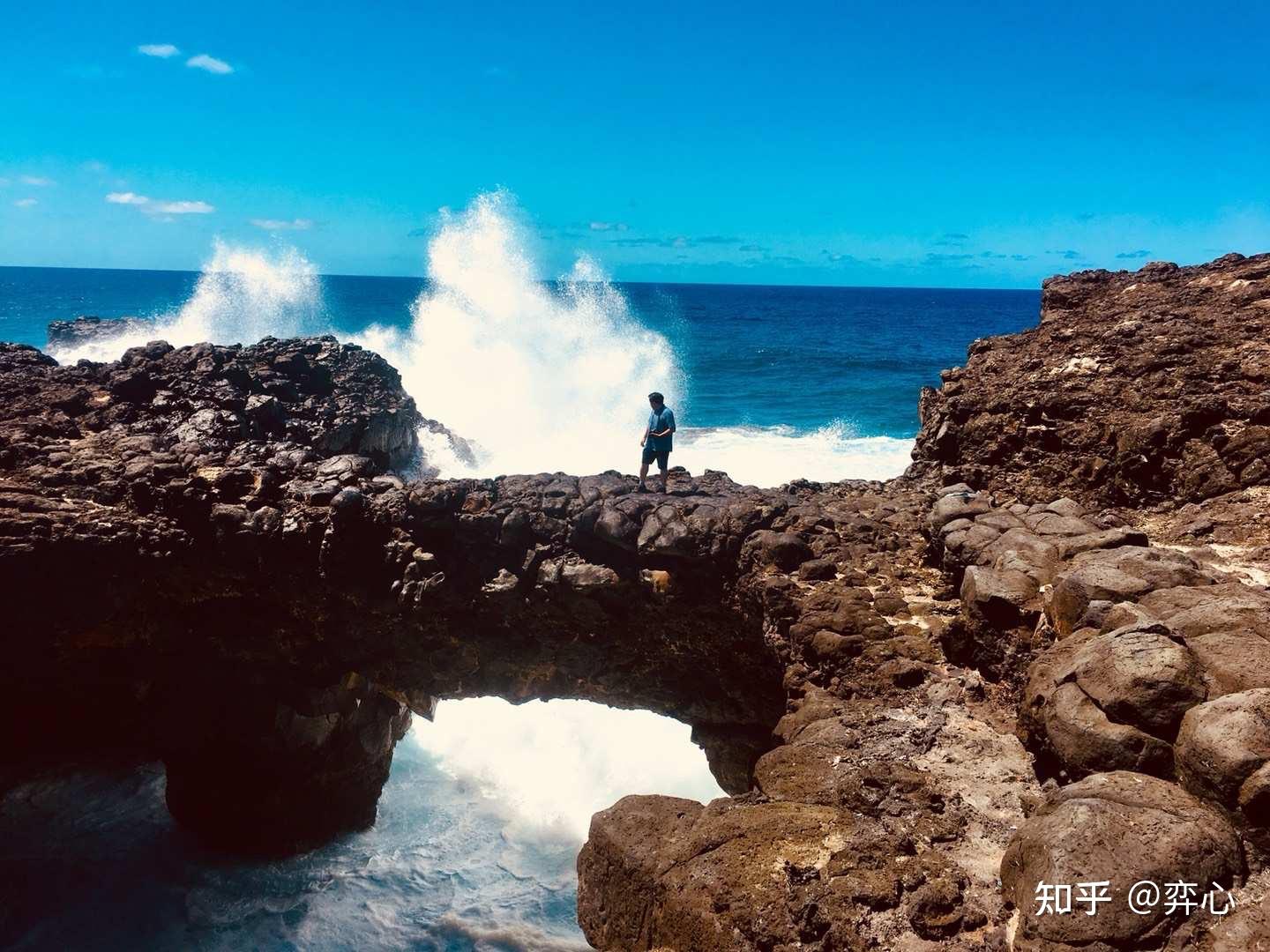 去过毛里求斯后你最大的感受是什么?