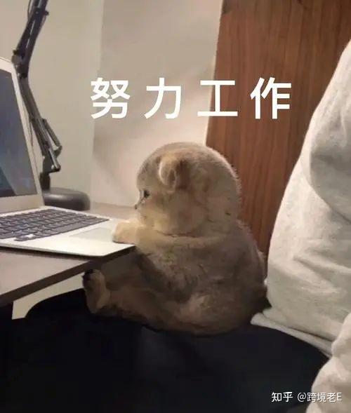 拆解亚马逊变体规则!我们如何防范违规变体 - 知乎