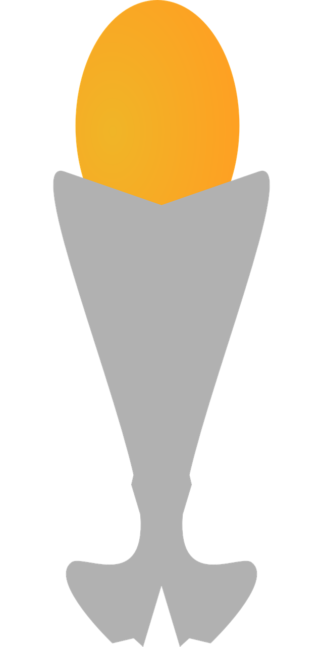 1. 热门杯品牌盘点