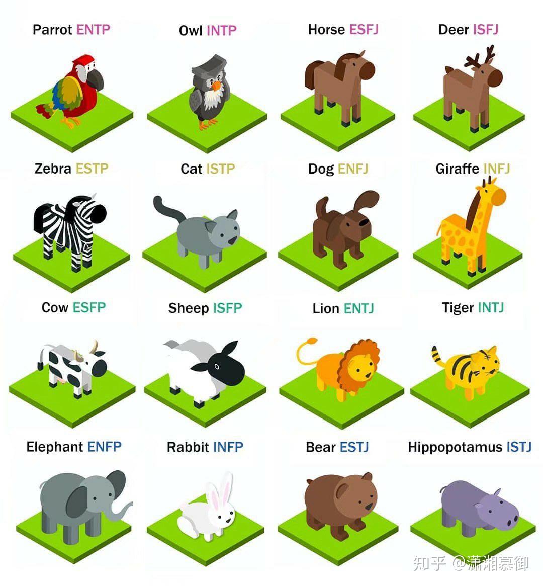 mbti/九型的各位把自己形象化为动物,你们觉得自己是哪种动物? - 知乎