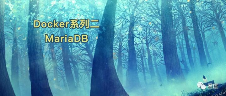 Docker系列二MariaDB - 知乎