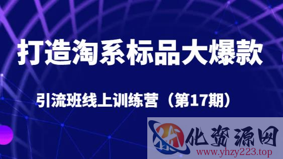 打造淘系标品大爆款引流班线上训练营（第17期）5天直播授课