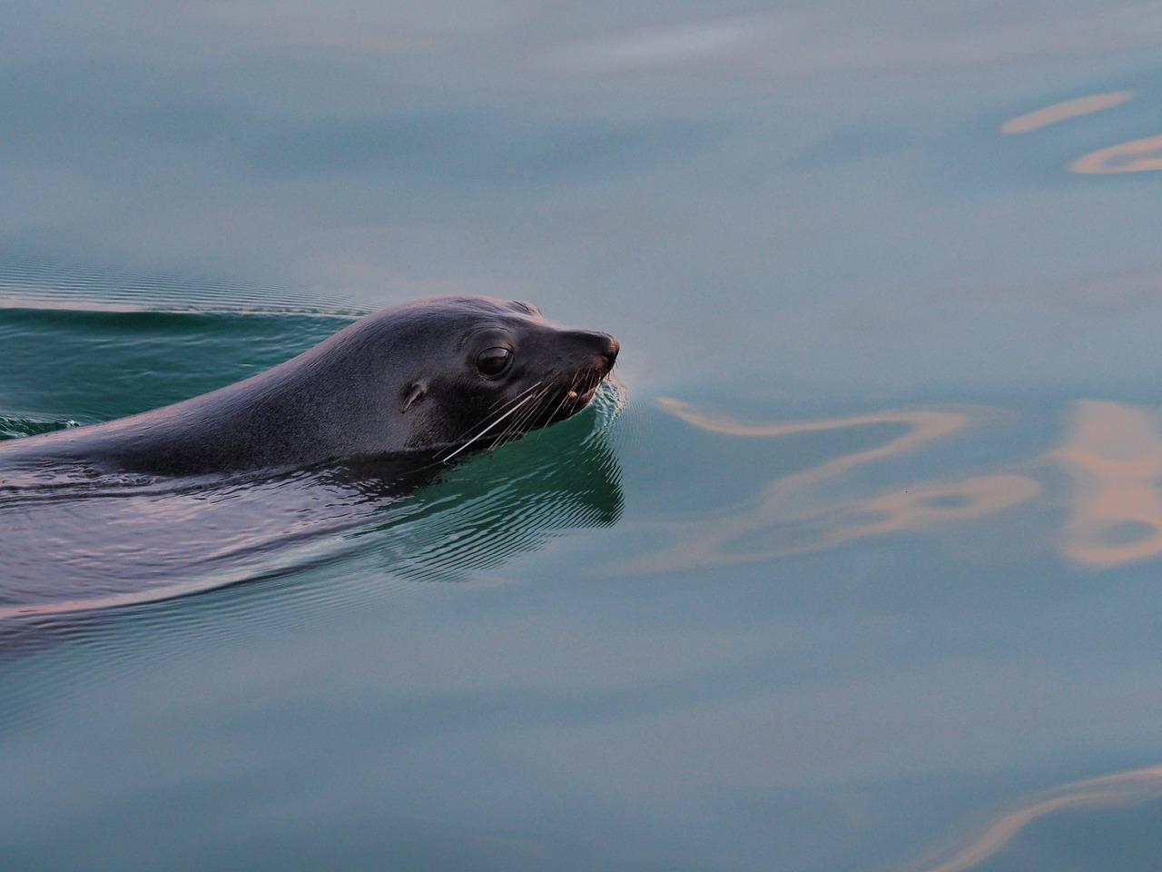 智能家居系统介绍