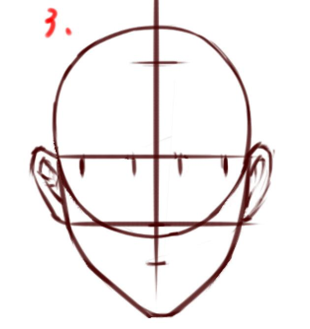怎样画头部