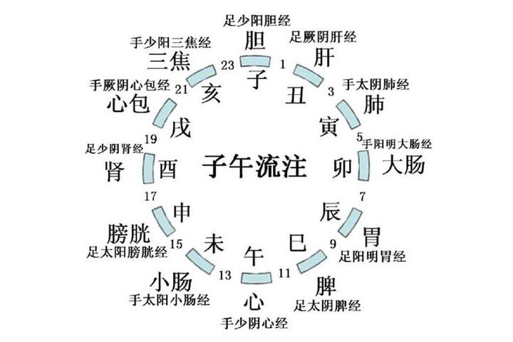 经络气血为什么有多有少?是因为粗细不同吗?