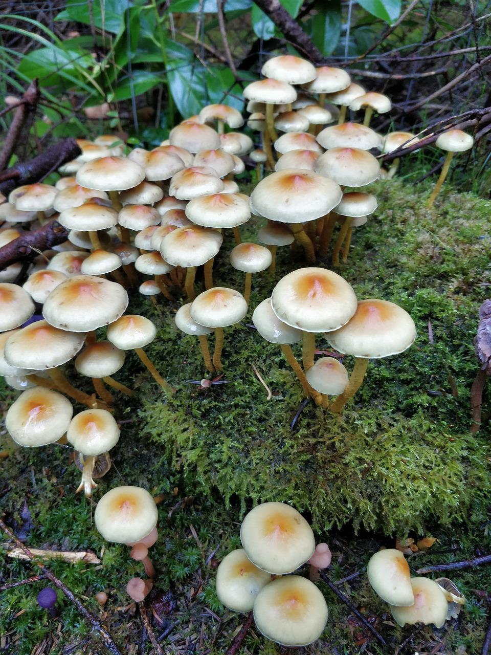 墙面粉刷小窍门