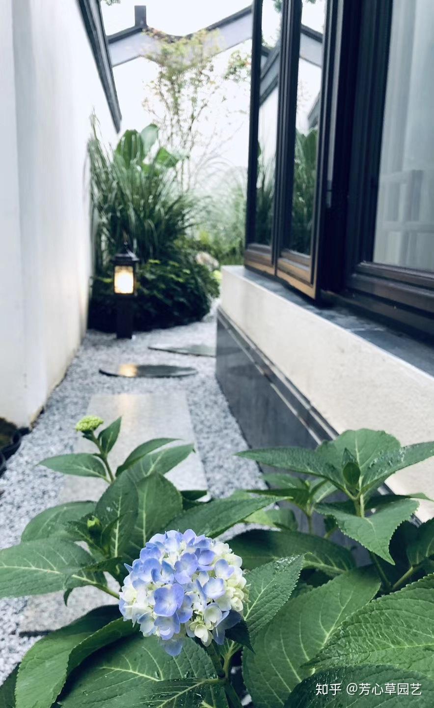 成都私家花园设计值得收藏,让人惊艳的现代风格 - 知乎