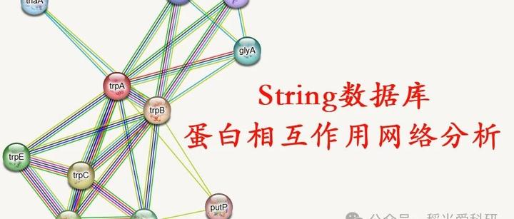STRING数据库-蛋白相互作用网络分析 - 知乎
