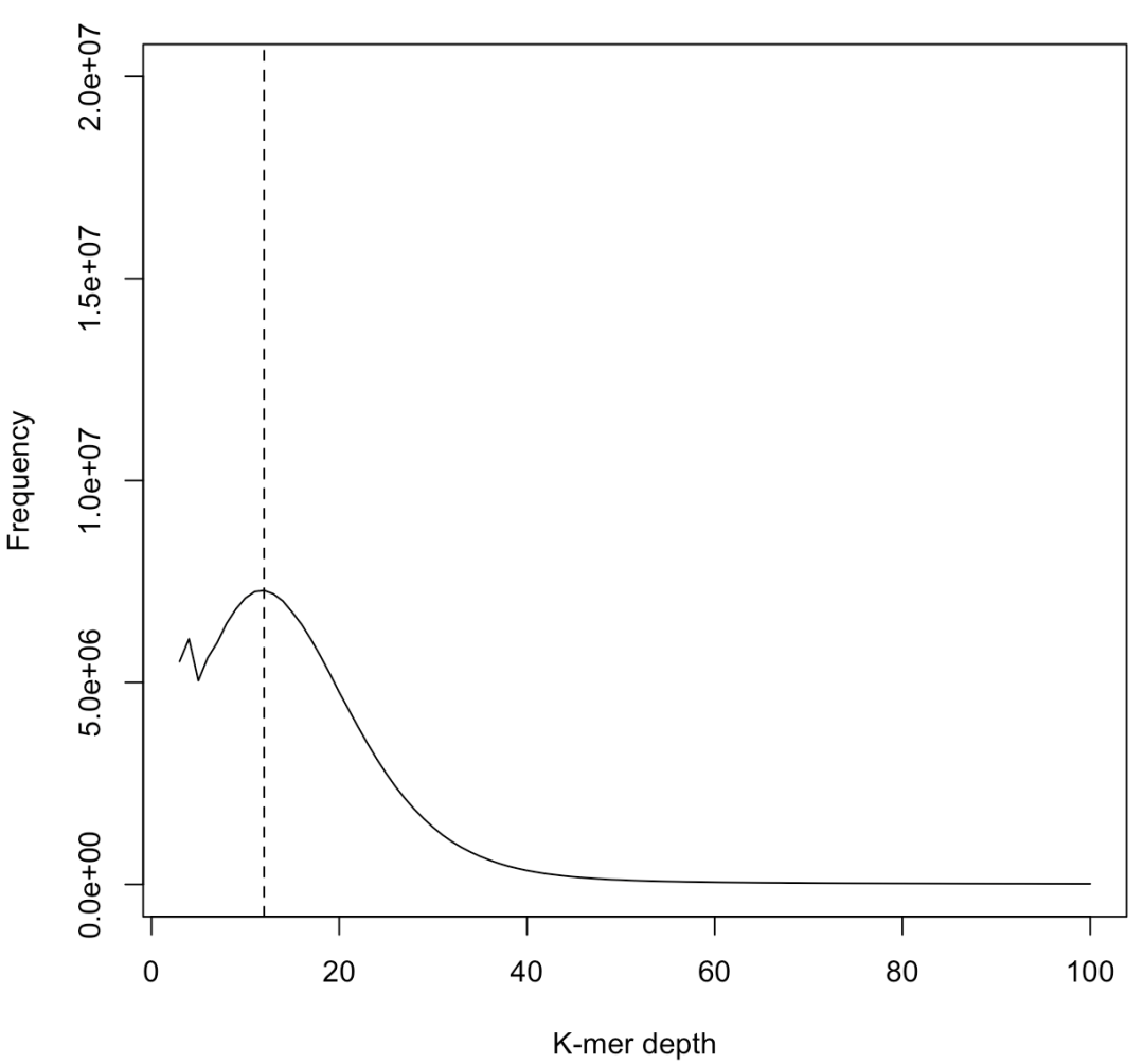 K Mer Graphs 使用K-mer估计基因组大小 - 知乎