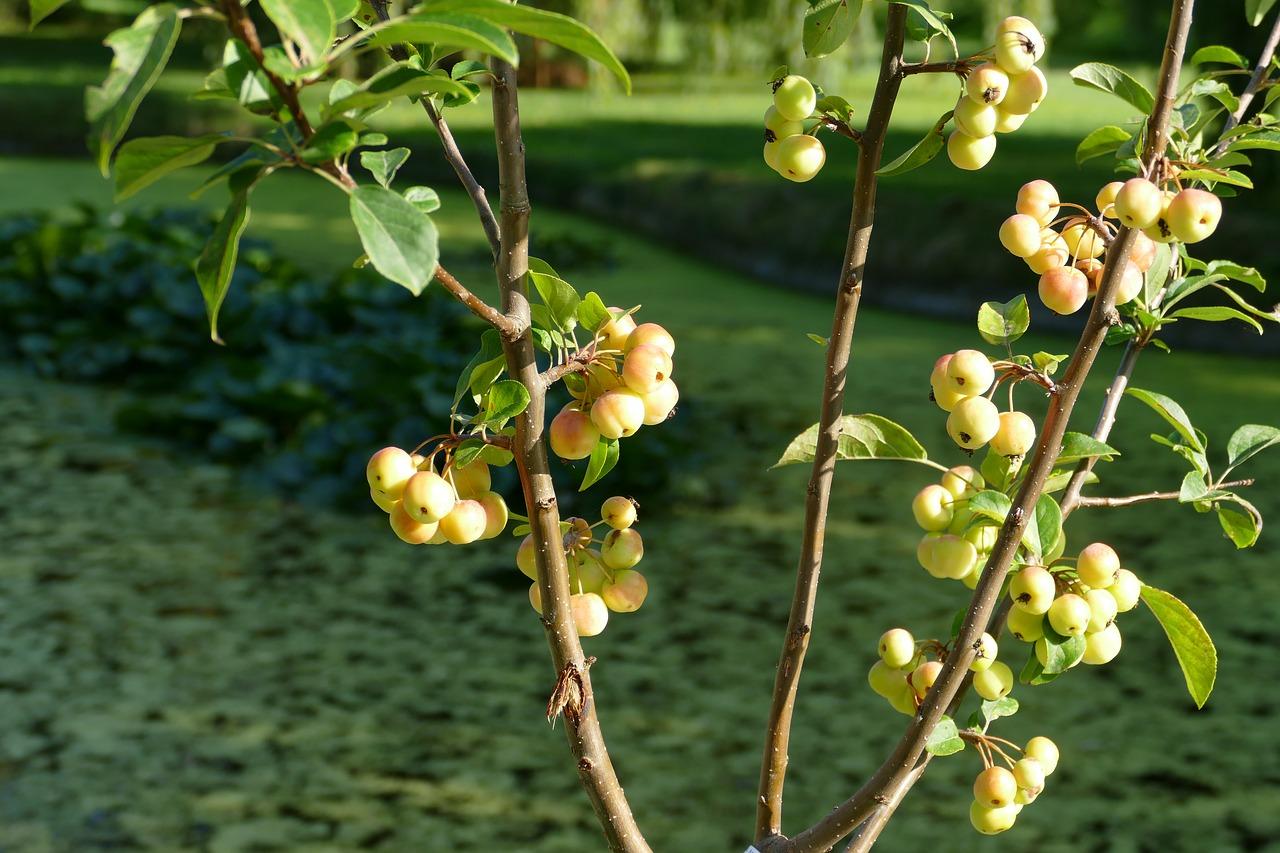 4. 田园风光社区