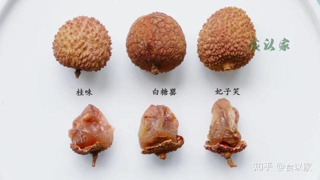 吃对荔枝补血养阳,吃错荔枝生病丧命(荔枝干) - 知乎